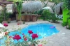 thumb_105_pool1.jpg