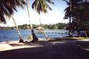 thumb_10_6_shore.jpg